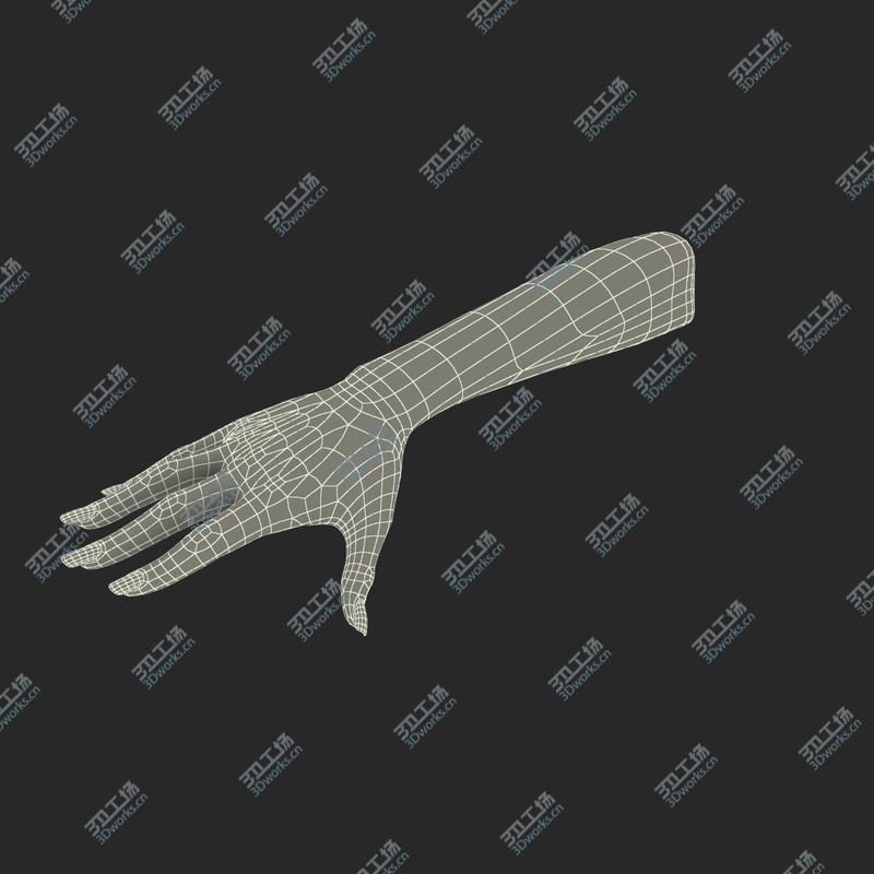 images/goods_img/202105071/Female Hand 2 Rigged for Maya/4.jpg